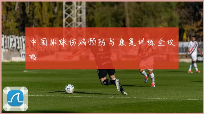 中国排球伤病预防与康复训练全攻略