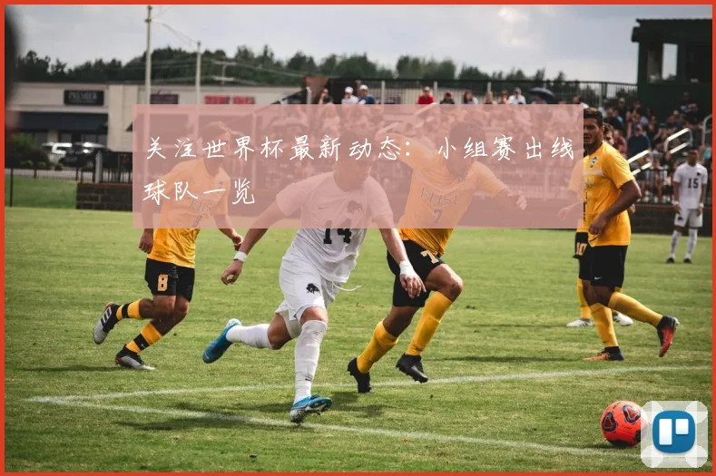 关注世界杯最新动态：小组赛出线球队一览